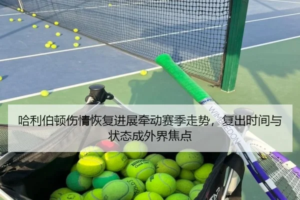 哈利伯顿伤情恢复进展牵动赛季走势，复出时间与状态成外界焦点